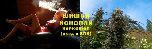 амф Богородск