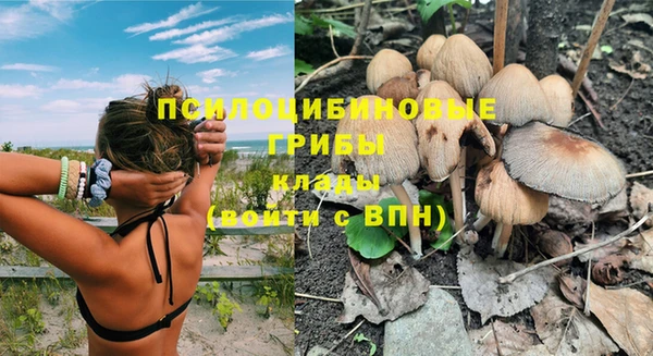 стафф Богородицк